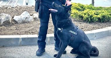 Cel mai credincios și jucăuș partener al mascaților din IPJ Constanța a ieșit la pensie - 2