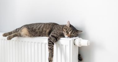 Stire din Social : Constanța primește căldură. Termoficare a pornit oficial încălzirea în oraș