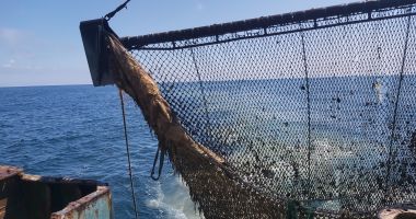Stire din Social : Soluţii pentru scoaterea din Marea Neagră a uneltelor de pescuit fantomă