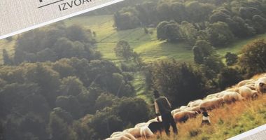 Stire din Cultură-Educație : ”Biblioteca iese în comunitate”, la Casa de Cultură din Hârșova
