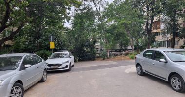 Copaci căzuți peste mașini, din cauza vântului puternic