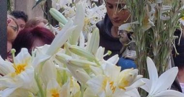 Stire din Cultură-Educație : Care este simbolistica sărbătorii crinilor în biserica catolică, celebrată pe 13 iunie