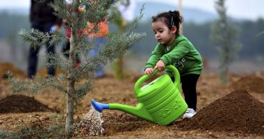 Stire din Cultură-Educație : Școala Curtea Brâncovenească organizează un inedit concurs de plantare, cu premii substanțiale