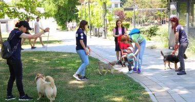 Stire din Social : Demersuri pentru găsirea unor familii adoptive pentru câinii comunitari