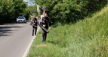 Stire din Social : Acțiuni de dezinsecție, deratizare în tot municipiul Constanța