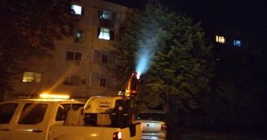 Stire din Social : Acțiuni de dezinsecție și deratizare în toate cartierele Constanței