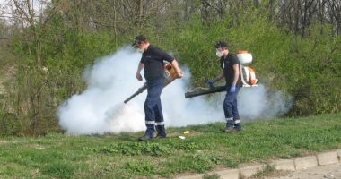 Stire din Social : Se intensifică acțiunile de dezinsecție din municipiul Constanța și stațiunea Mamaia