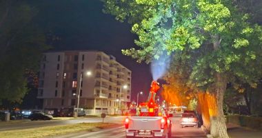 Stire din Social : Acțiuni de dezinsecție intensificate în municipiul Constanța, pe fondul temperaturilor ridicate