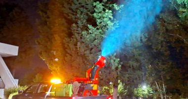 Stire din Social : Primăria Constanța intensifică acțiunile de dezinsecție miercuri şi joi