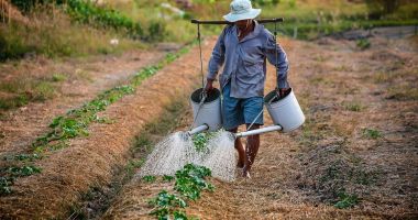 Stire din Social : Europa caută forţă de muncă. Peste 300 de joburi disponibile pentru români
