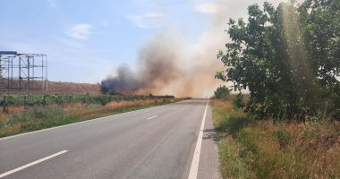 O NOUĂ ALERTĂ: A IZBUCNIT UN NOU INCENDIU LA POARTA ALBĂ! - 2