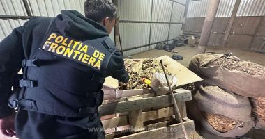 Stire din Eveniment : Zeci de percheziții la o grupare care aducea tutun neprelucrat, ilegal, în țara noastră