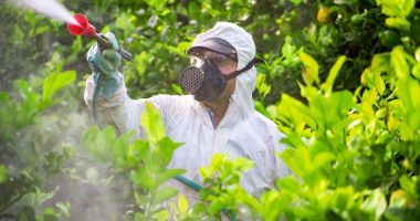 Stire din Social : Sute de copii intoxicaţi cu pesticide. Medicii trag un semnal de alarmă