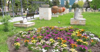 Stire din Social : Plantările de primăvară continuă în alte zone ale Constanţei
