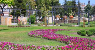 Cartierele constănţene prind culoare. Au fost înfrumusețate cu noi specii de plante