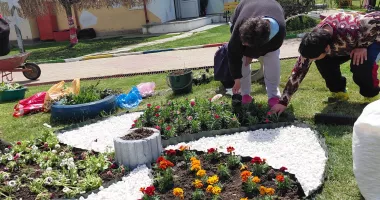 Beneficiarii a trei centre pentru adulți au plantat flori împreună