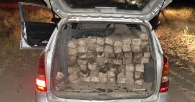 Stire din Eveniment : Prinşi de poliţiştii din Murfatlar, după ce au furat zeci de şpalieri dintr-o fermă din oraş