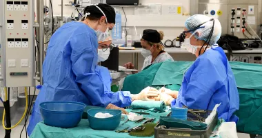 Stire din Social : Termen extins pentru proiectele PNRR din sănătate
