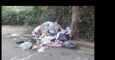 Stire din Social : Amenzi pentru constănţenii care aruncă gunoaiele pe stradă