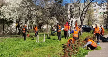 Stire din Social : Curățenie de primăvară în Constanța, înainte de Paște