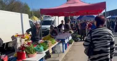 Stire din Social : Târgul din Mangalia, închis temporar de Direcția de Sănătate Publică