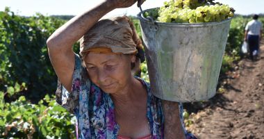 Activitatea zilierilor constănţeni, luată la puricat de inspectorii de muncă