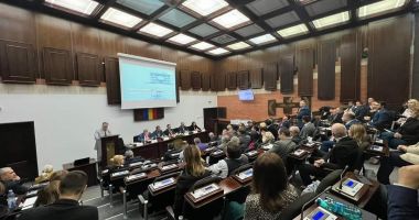 Stire din Cultură-Educație : Diane Paula Vancea, realeasă președintele Senatului Universității „Ovidius”