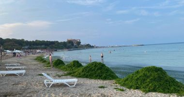 Stire din Social : Aproape 4.500 de tone de alge adunate de pe plaje, în luna august