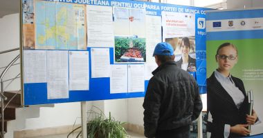 Stire din Social : Cei mai mulţi şomeri angajaţi anul acesta au studii liceale