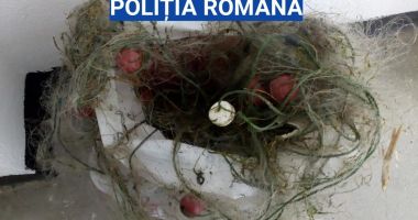 Stire din Eveniment : Braconaj în Delta Dunării. Zeci de kilograme de pește, confiscate de polițiști