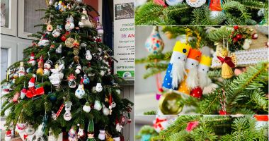 Stire din Cultură-Educație : ”Brăduțul magic” al elevilor Școlii ”Grigore Moisil” din Năvodari, desemnat câștigător