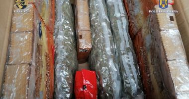 Captură însemnată a poliţiştilor antidrog. 11 kilograme de cannabis, descoperite la Constanţa - 2