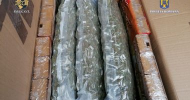 Captură însemnată a poliţiştilor antidrog. 11 kilograme de cannabis, descoperite la Constanţa - 3