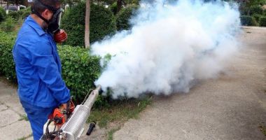 Stire din Actualitate : Dezinsecție permanentă în Constanța! Ce trebuie să ştie locuitorii oraşului