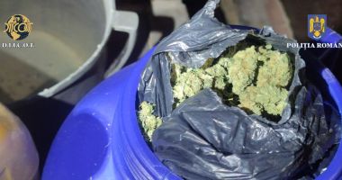 PERCHEZIȚII DIICOT în Constanța: 2,7 kilograme de cannabis, ASCUNSE ÎN BUTOAIE - 2