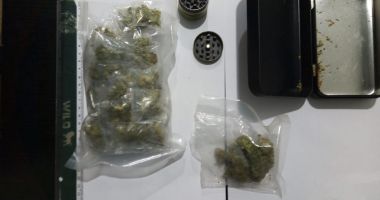Stire din Eveniment : Capturi în Vama Veche: jandarmii au depistat mai mulți tineri care aveau droguri asupra lor