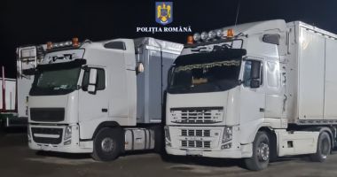 Mafia pădurilor are ramificații la Constanța. Evaziune fiscală și spălare de bani prin depozitele de lemne - 3
