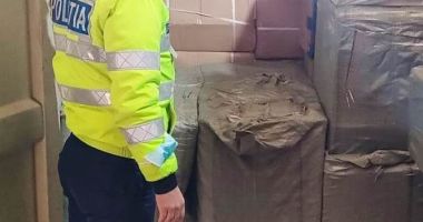 Stire din Eveniment : Îmbrăcăminte pentru câini, posibil contrafăcută, ridicată de poliţiştii constănţeni