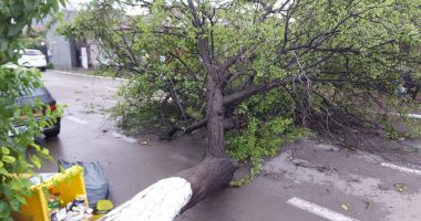 URMELE lăsate de FURTUNA care a devastat Constanța: inundații și copaci căzuți peste case și mașini! - 2