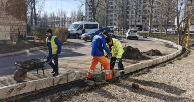 Stire din Social : Lucrări de amenajare în staţiunea Mamaia. Sunt refăcute spaţiile verzi