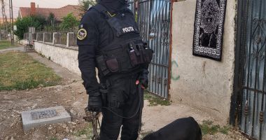 GALERIE FOTO. PERCHEZIȚII LA HOȚII DE CATALIZATOARE. Gruparea acționa în mai multe localități constănțene - 3