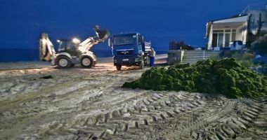 GALERIE FOTO. Plajele din sudul litoralului, sub asaltul algelor. Echipele Apelor Române acționează în fiecare seară! - 3
