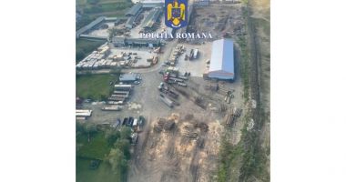 Stire din Eveniment : Urmările perchezițiilor în dosarul privind mafia pădurilor: zeci de mii de metri cubi de lemne confiscați