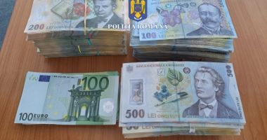 Urmările perchezițiilor în dosarul privind mafia pădurilor: zeci de mii de metri cubi de lemne confiscați - 2