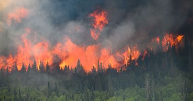 Stire din Actualitate : Emisiile de carbon provocate de incendiile din Canada au atins o cantitate record în 2023