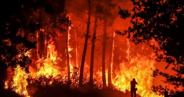 INCENDII DEVASTATOARE AU PUS STĂPÂNIRE PE FRANŢA! Ciucă: "România este solidară"