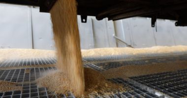 Stire din Actualitate : Scandalul cerealelor ucrainene: Tot mai multe țări europene interzic importurile și tranzitul