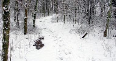 Stire din Eveniment : Tânărul dispărut acum o săptămână, în timpul viscolului, a fost găsit MORT