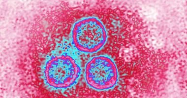 Stire din Sănătate : Cercetătorii atrag atenția! 1 din 3 bărbaţi din întreaga lume este infectat cu virusul HPV