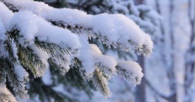 Locul din România unde stratul de zăpadă măsoară 15 centimetri